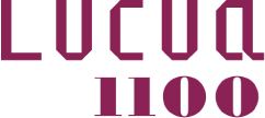 LUCUA 1100