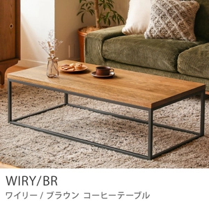 Re:CENO product｜コーヒーテーブル WIRY／BR