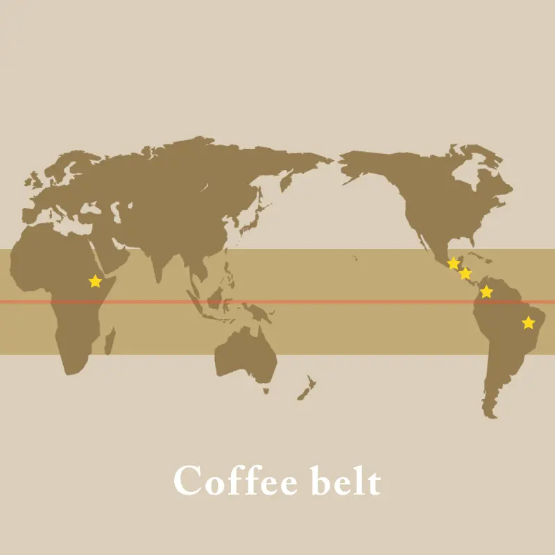 coffee_belt_アートボード 1.jpg