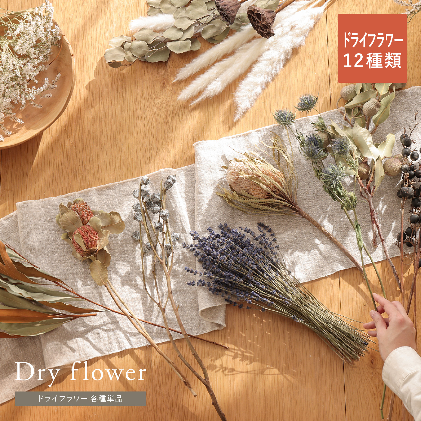 ドライフラワー 各種単品