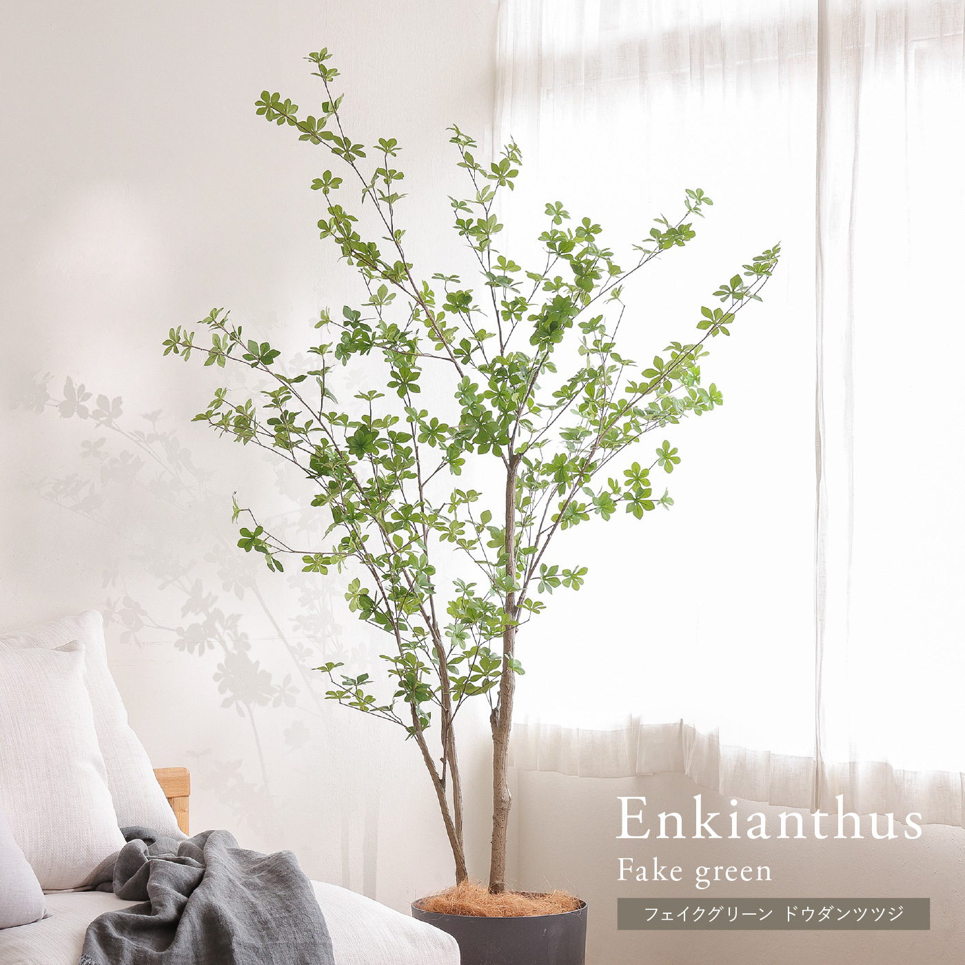 フェイクグリーン ドウダンツツジ