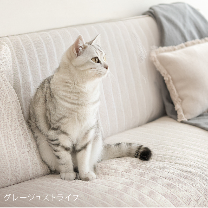 along3-blog26.jpg