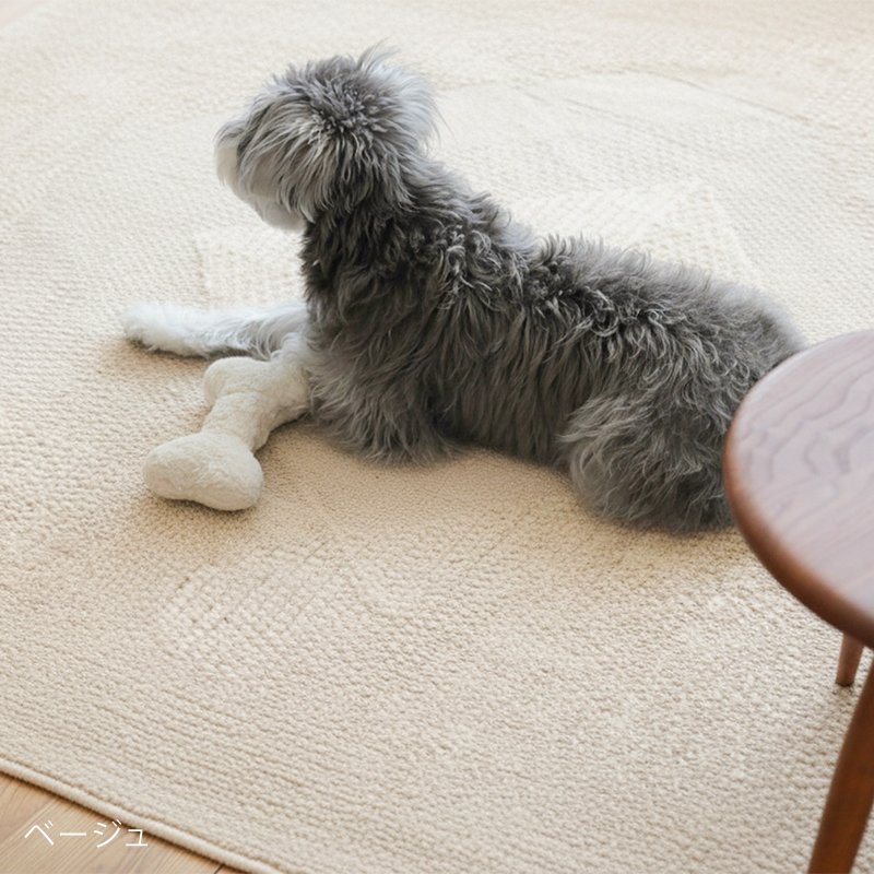 bright-rug-blog7.jpg