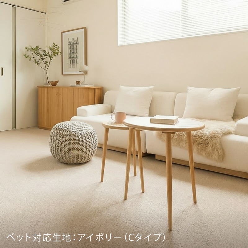 classse15-blog6.jpg