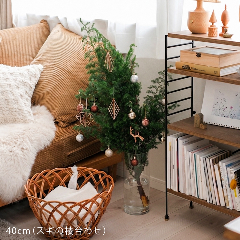 cylin-fb-blog29.jpg