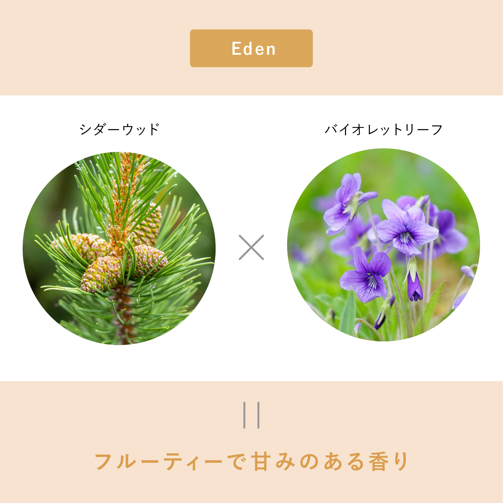 eym-can-blog13.jpg