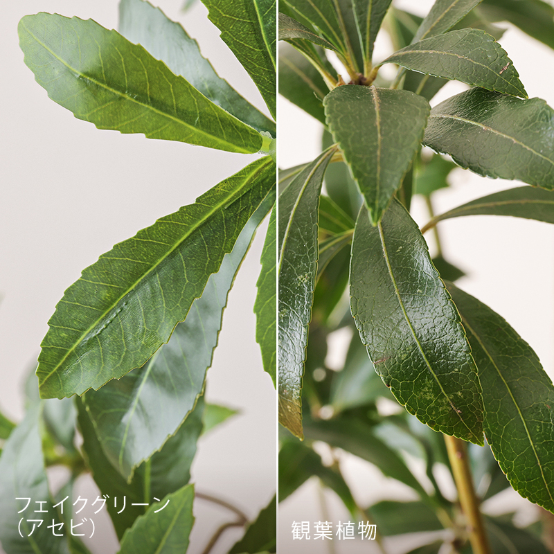 fagrb-se-blog11.jpg