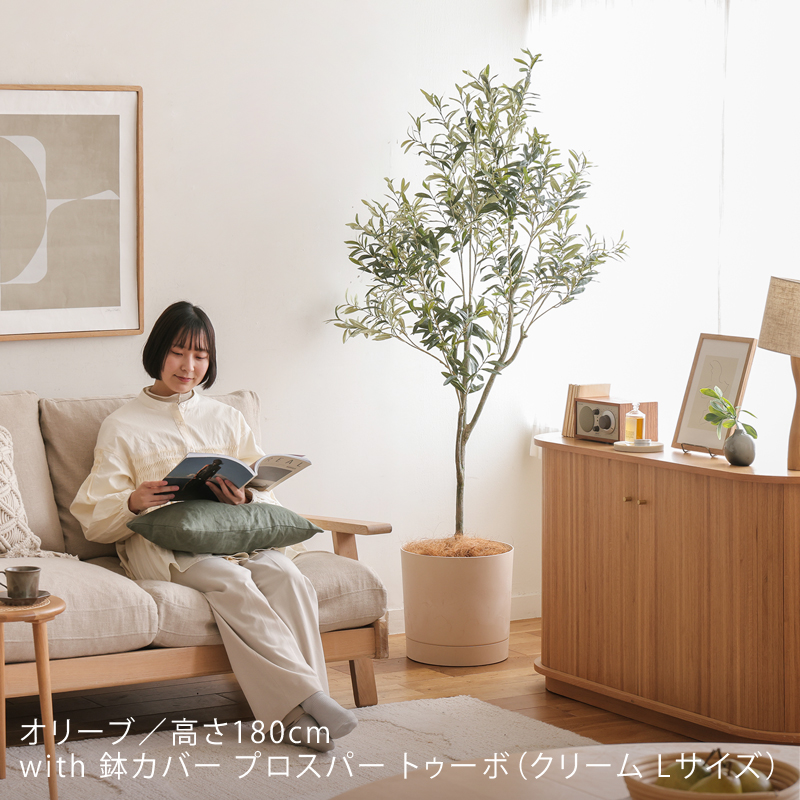 フェイクグリーン オリーブ ｜家具・インテリア通販 Re:CENO(リセノ)