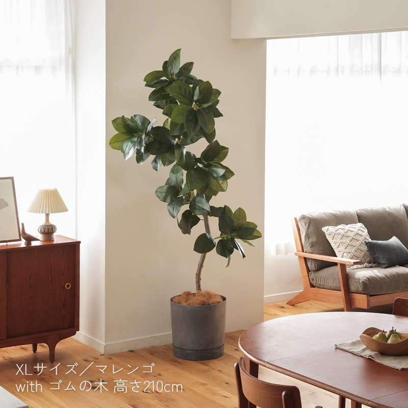 pro-po-blog23.jpg