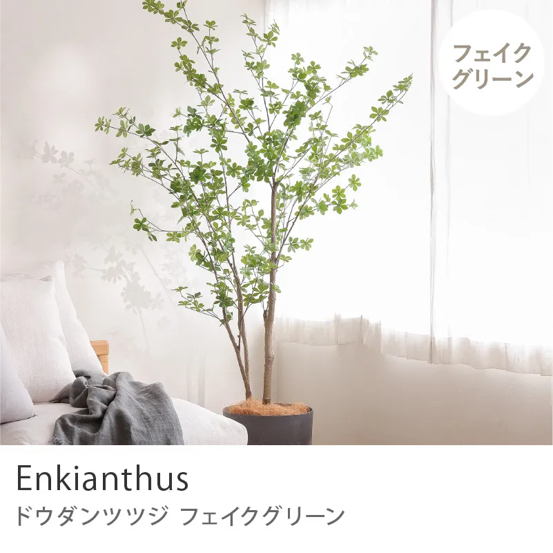 フェイクグリーン ドウダンツツジ