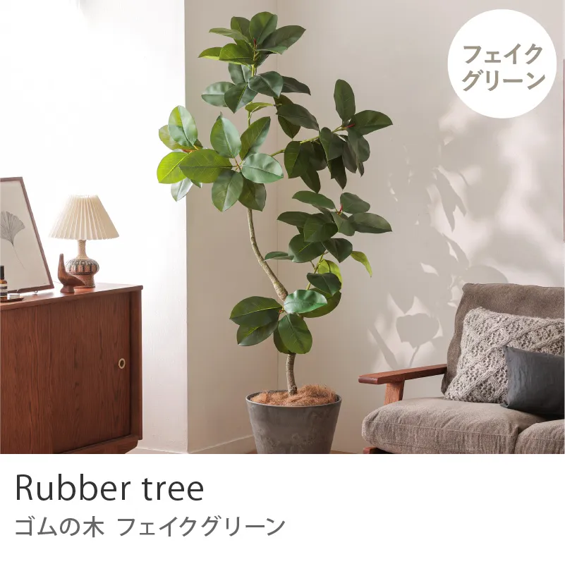 フェイクグリーン ゴムの木