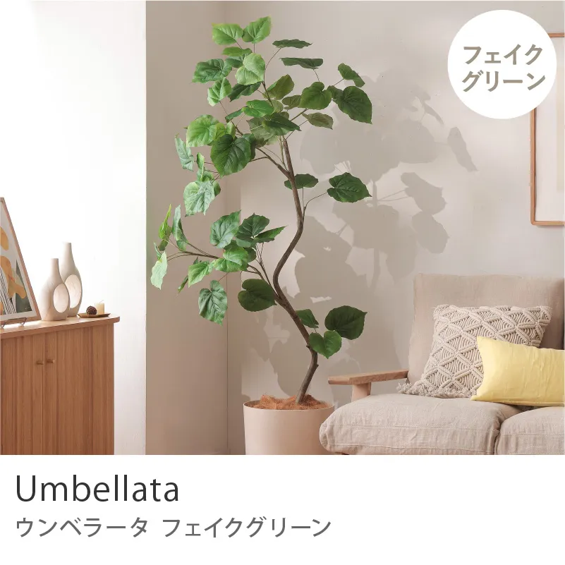 フェイクグリーン ウンベラータ