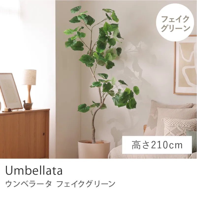 フェイクグリーン ウンベラータ／高さ 210cm
